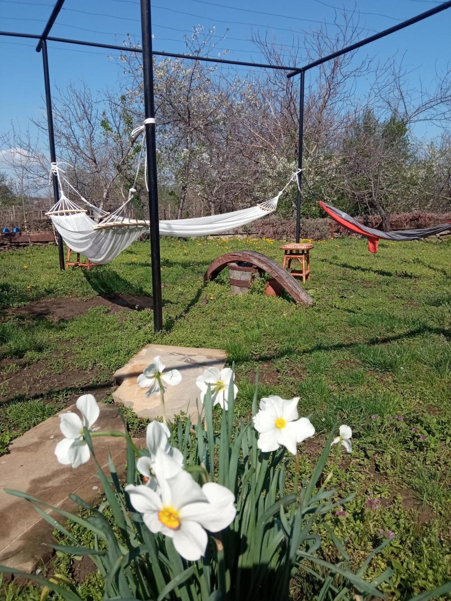 Ganchovets Guest House Art Eco Land מראה חיצוני תמונה