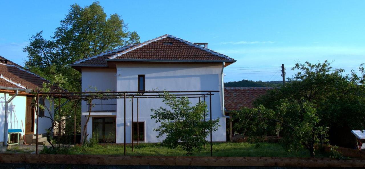 Ganchovets Guest House Art Eco Land מראה חיצוני תמונה