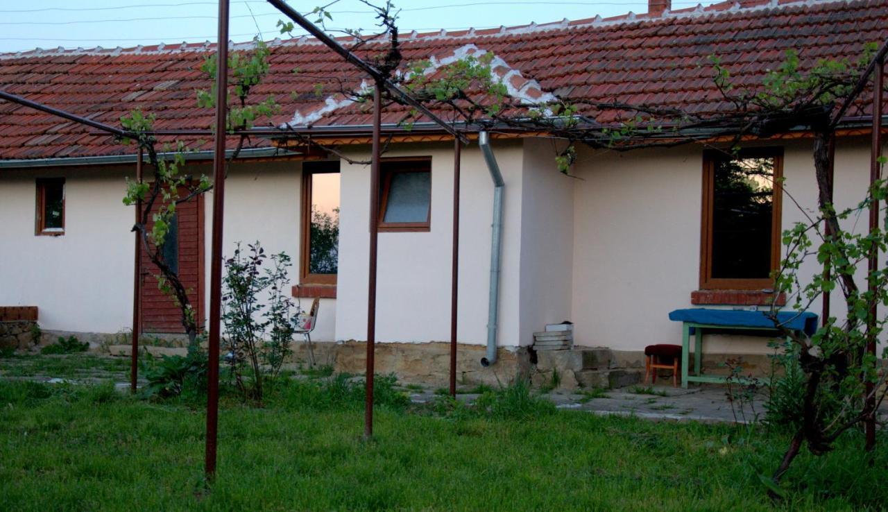 Ganchovets Guest House Art Eco Land מראה חיצוני תמונה